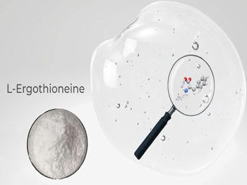 L-Ergothioneine Health Benefits